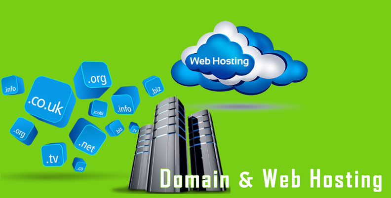 Domain and Hosting Management